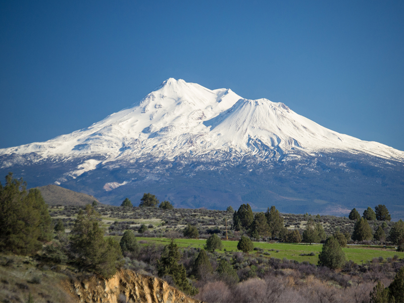 Mt. Shasta