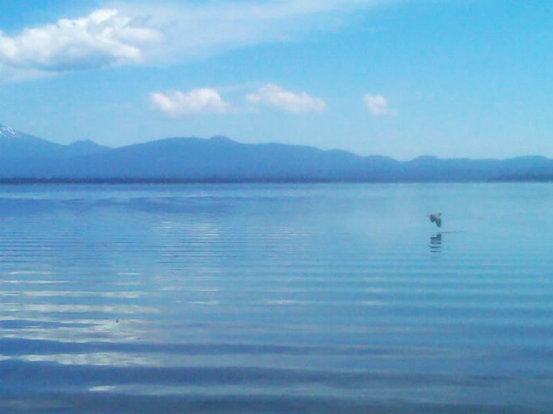 Crane Prairie Reservoir