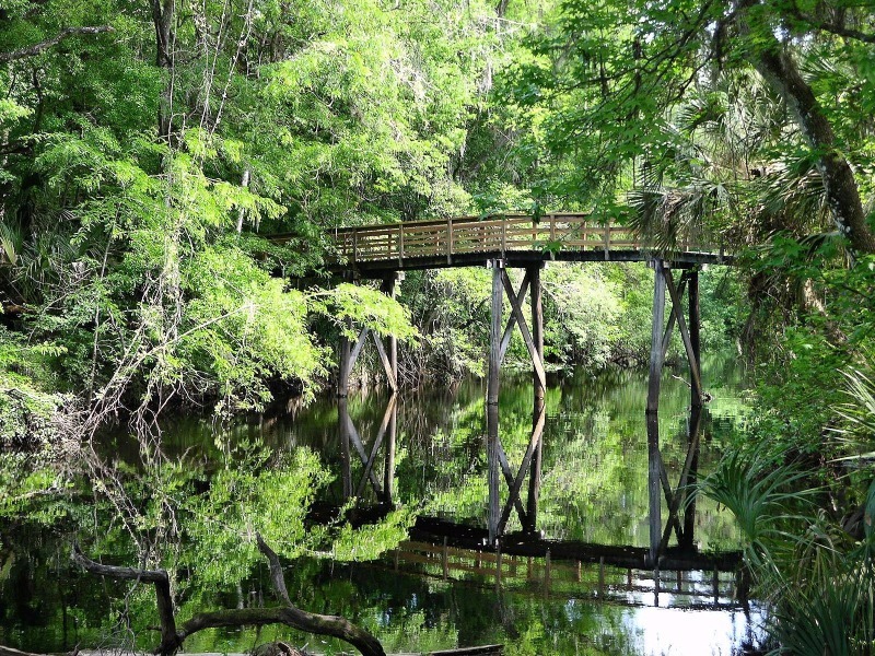Hillsborough River State Park