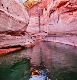 red rocks and water at lake powell
