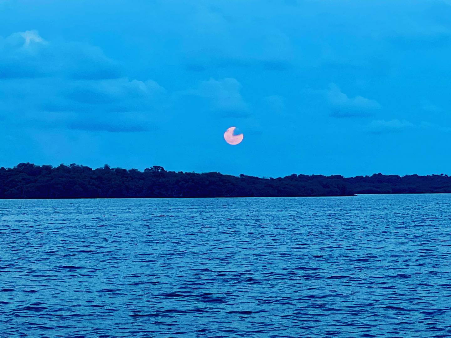 Florida's Jules' Undersea Lodge Is America's Only Underwater Hotel ...