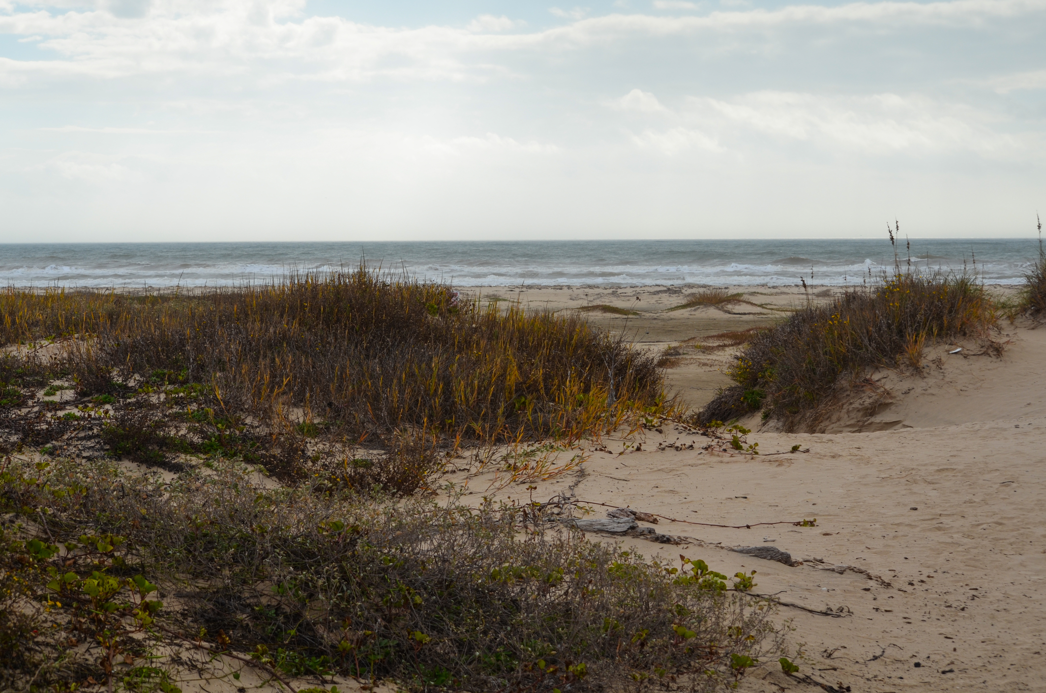 Matagorda, Texas