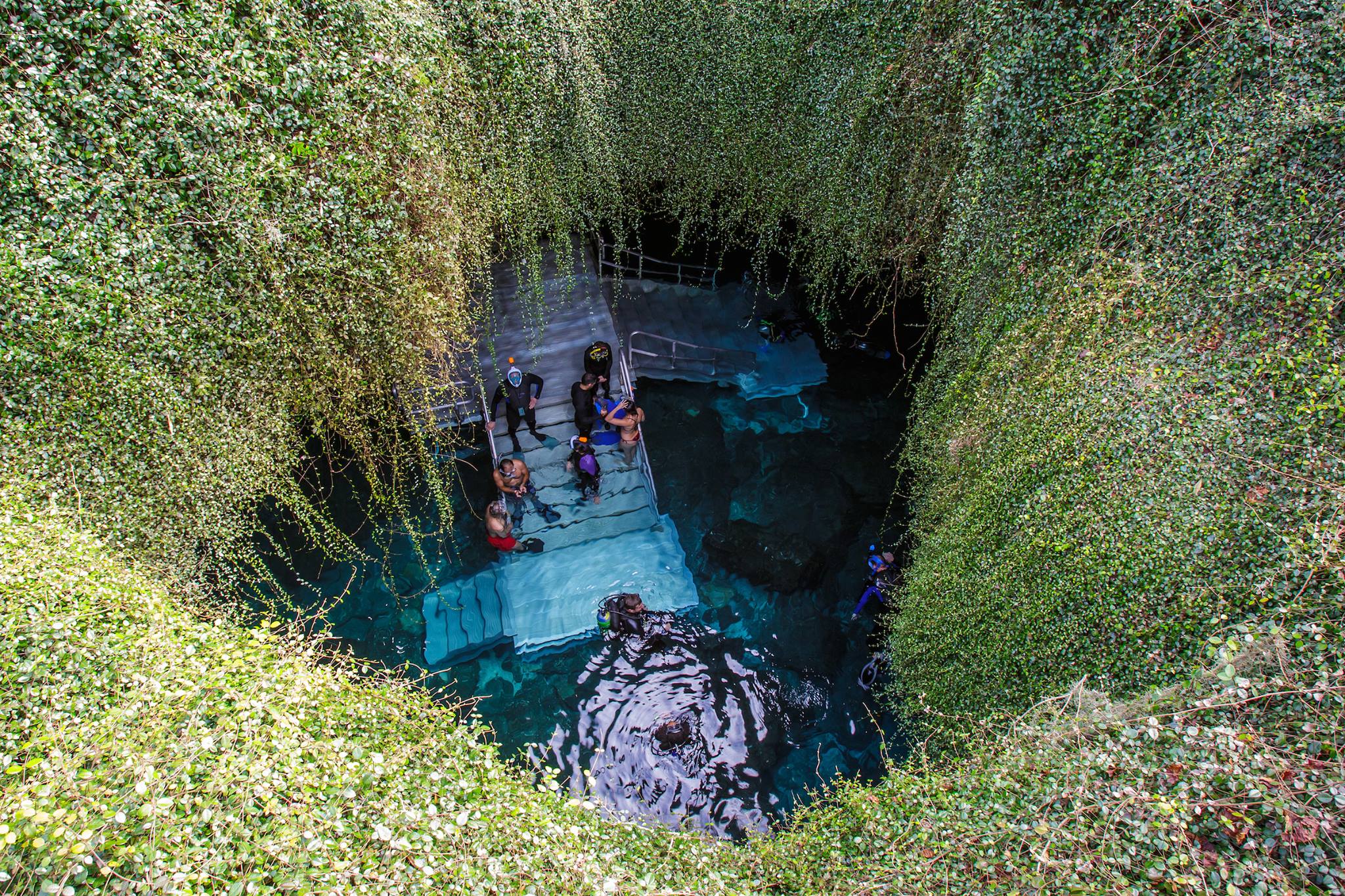 Devil’s Den Cave (Williston, FL) – Photos & Details – Holidays
