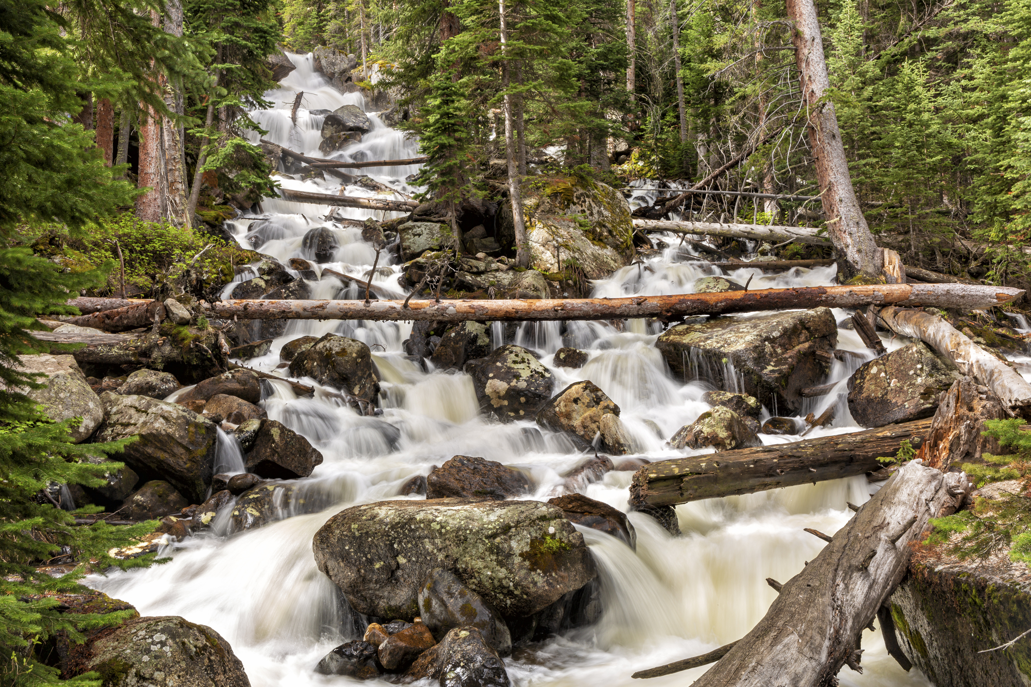 Spring snowmelt floods Calypso Cascades in the Wild Basin in Spring, Rocky Mountain National Park, Colorado