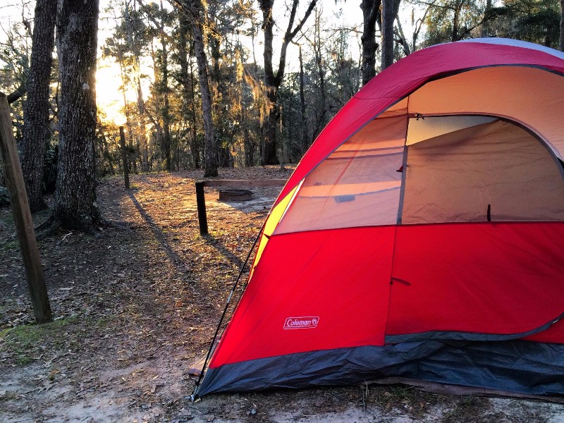 Torreya State Park, Bristol