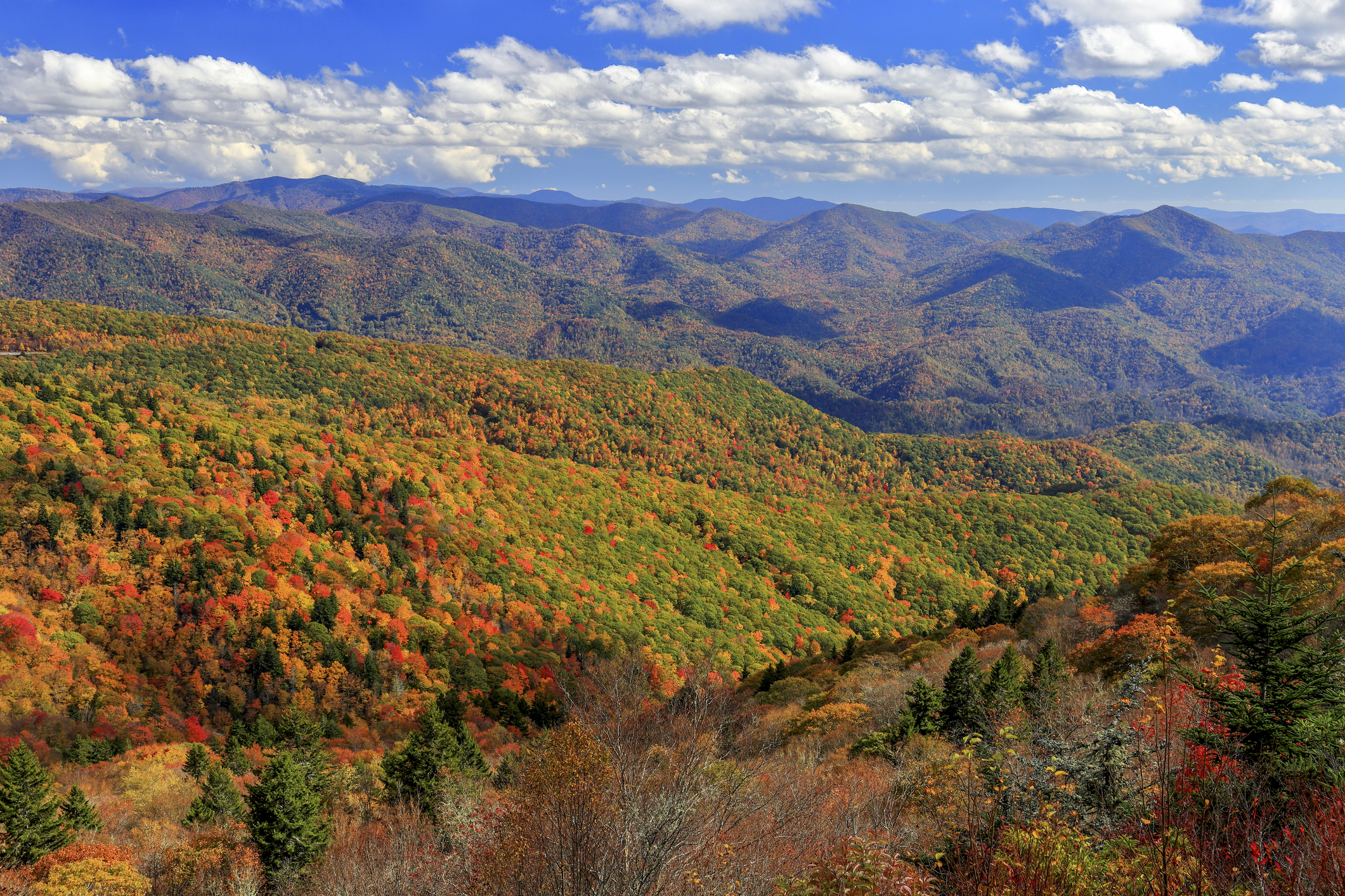 View of autumn colors from Waterrock Knob along the Blue Ridge Parkway near Maggie Valley, North Carolina
