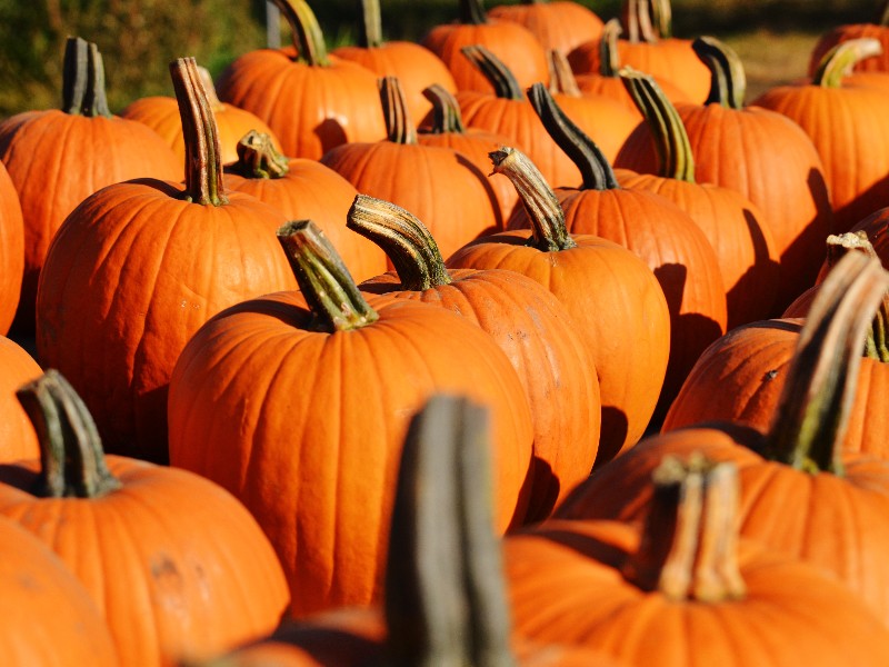 Pumpkins