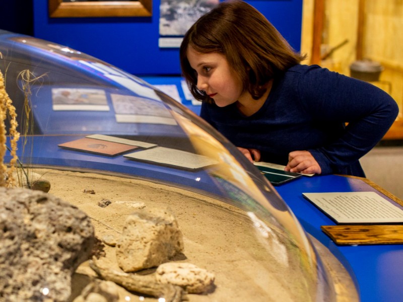 Museums of Western Colorado