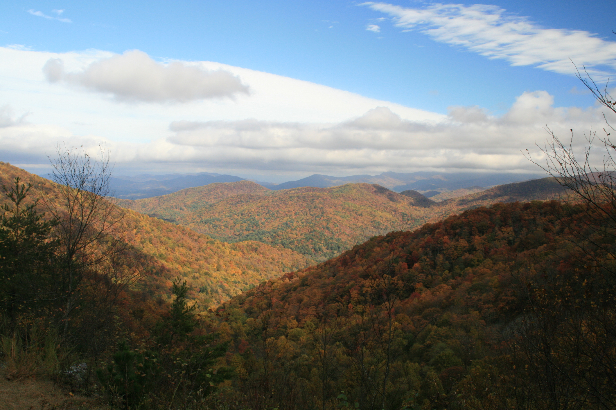 View from Russell-Brasstown Scenic Byway