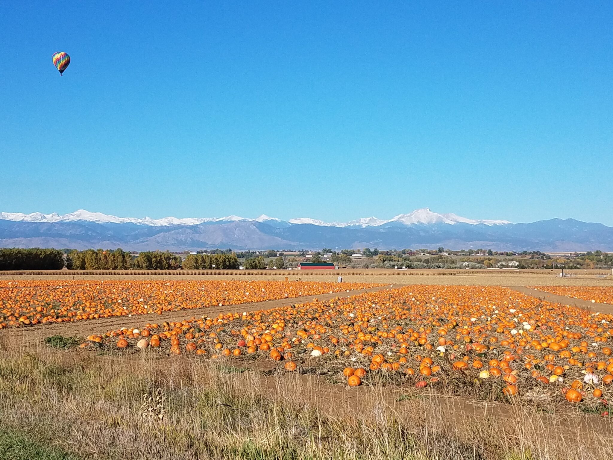 Anderson Farms 
