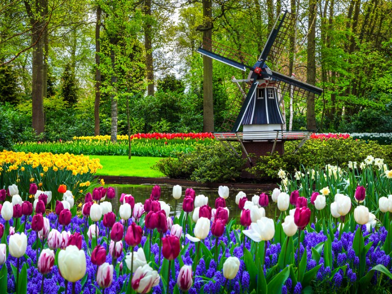 20 Stunning Spring Destinations in the World – Holidays