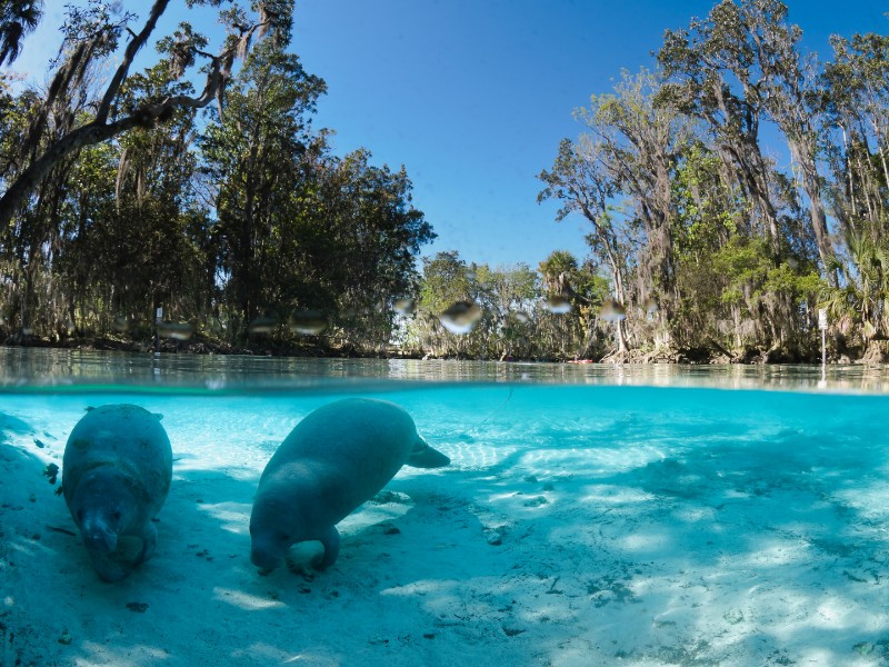 Three Sisters Springs