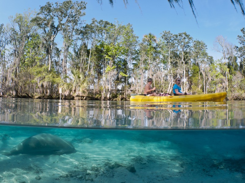 Kayaking at Three Sisters Springs