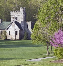 castle with purple flowers