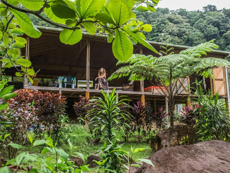 Banana Lama Eco Cottage, Dominica Airbnb