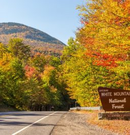 sign of white mountain national forest with autumn foliage behind