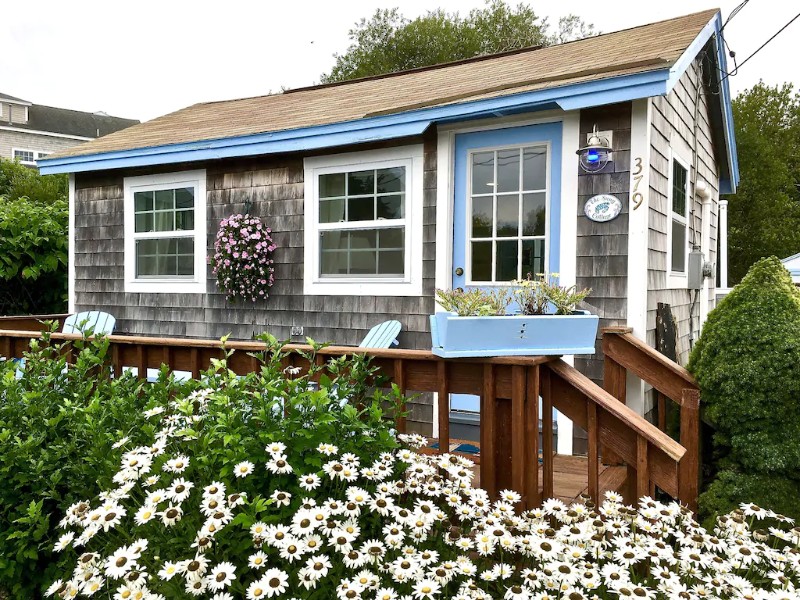 Flowers by Snug Cottage