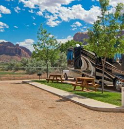 Sunny day at campground with small trees