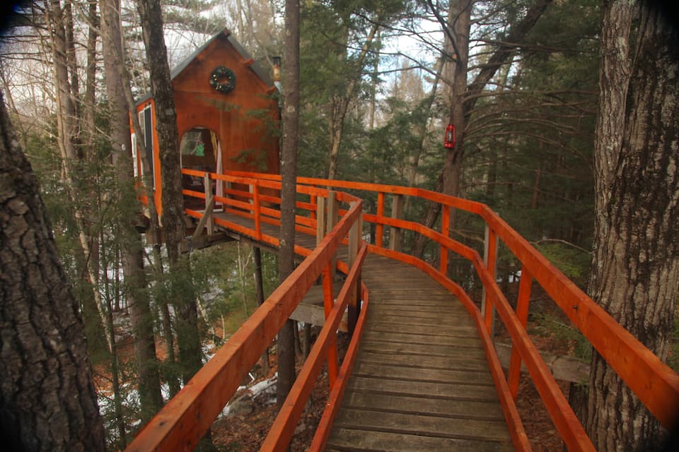 Follow the suspended path through the trees