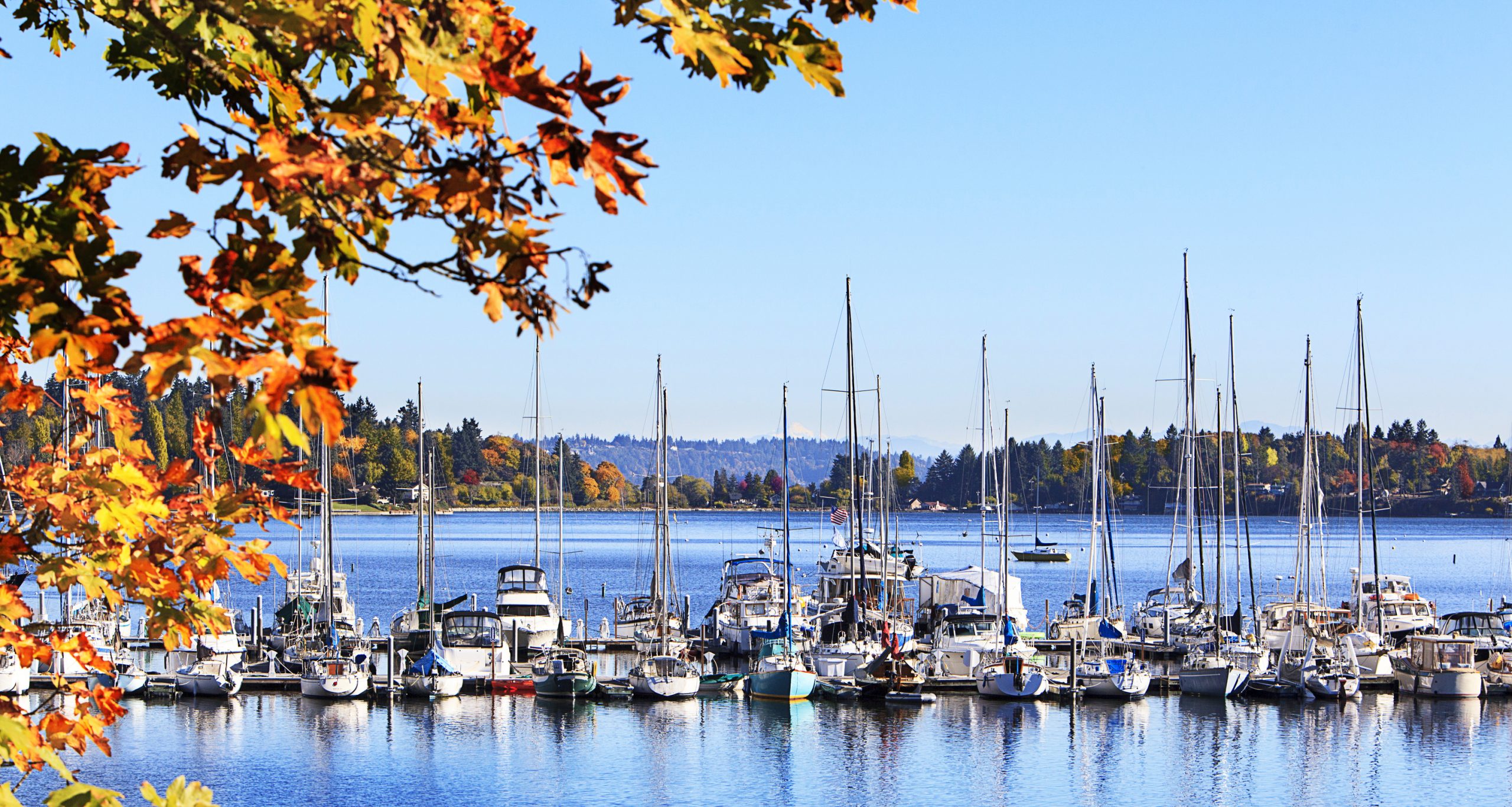 A view of boats moored in Quartermaster harbor