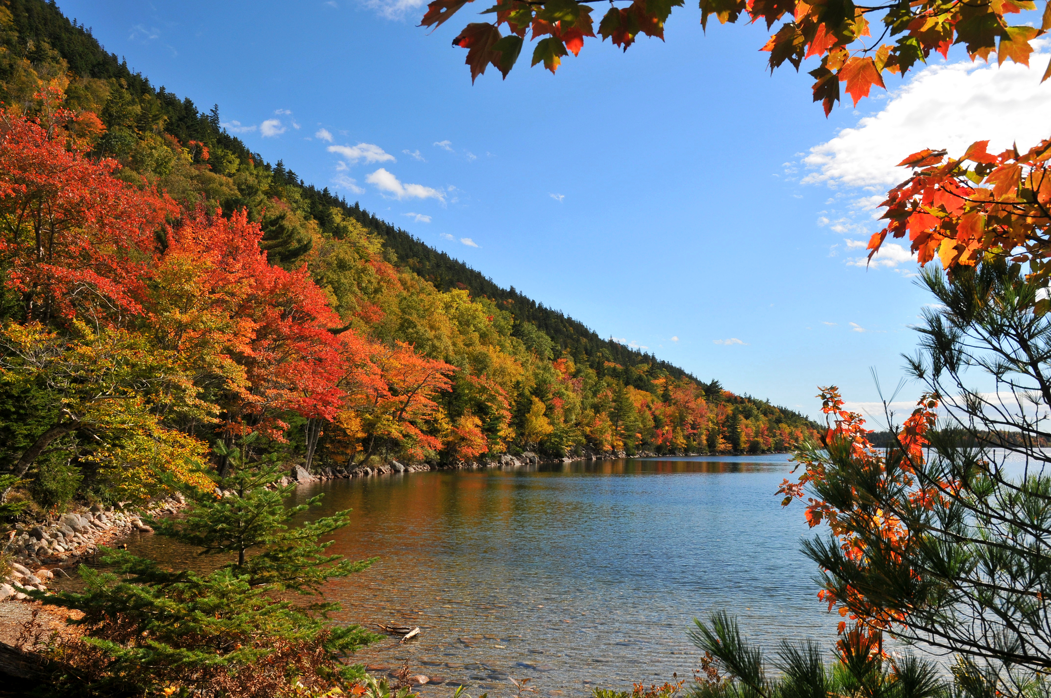 Bar Harbor