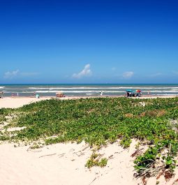 South Padre Island sand dunes with beach in distance on sunny day