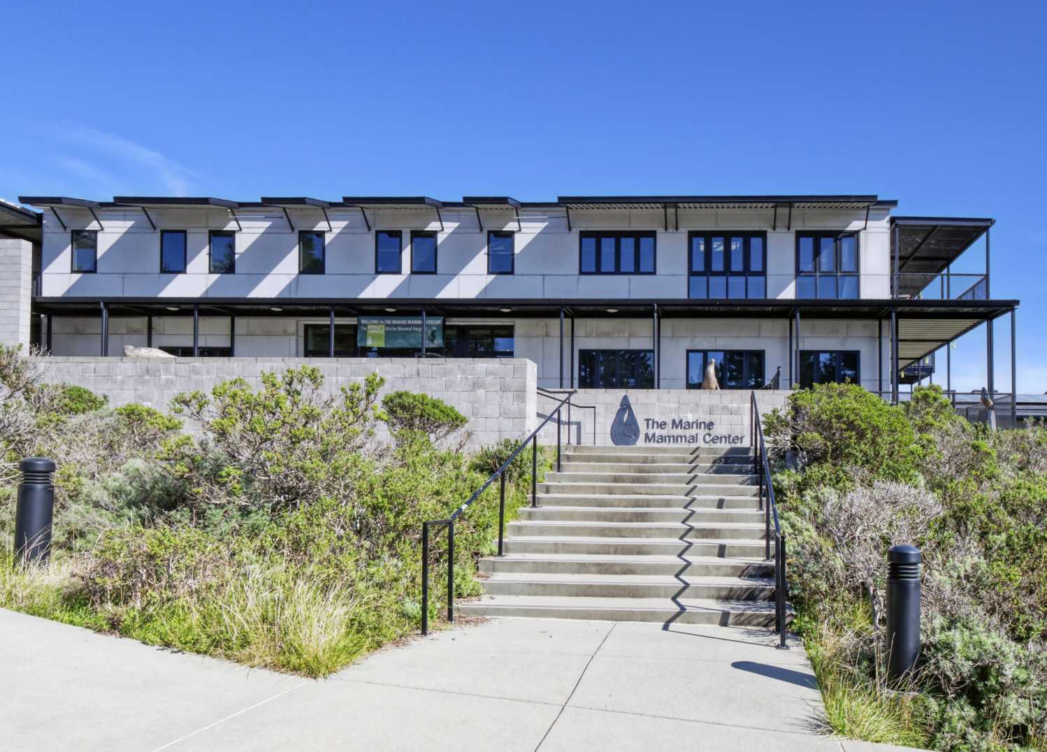 The Marine Mammal Center