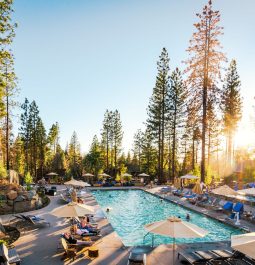 Large swimming pool with various seating options, surrounded by pine trees