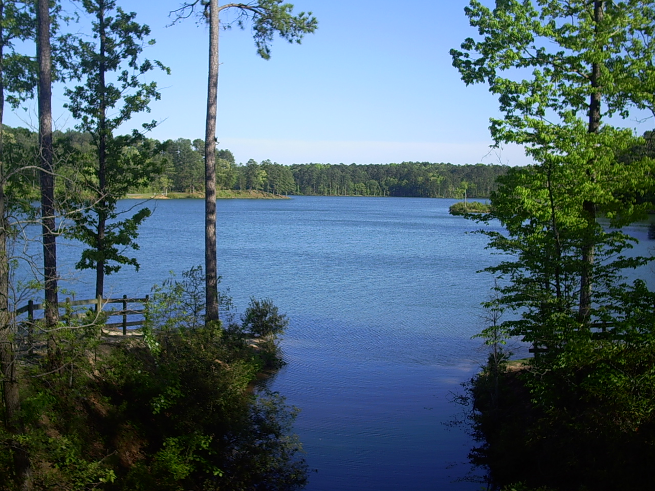 Unwind in Bonita Lakes Park