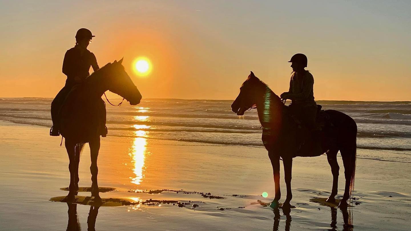 Ricochet Ridge Ranch in Fort Bragg, California