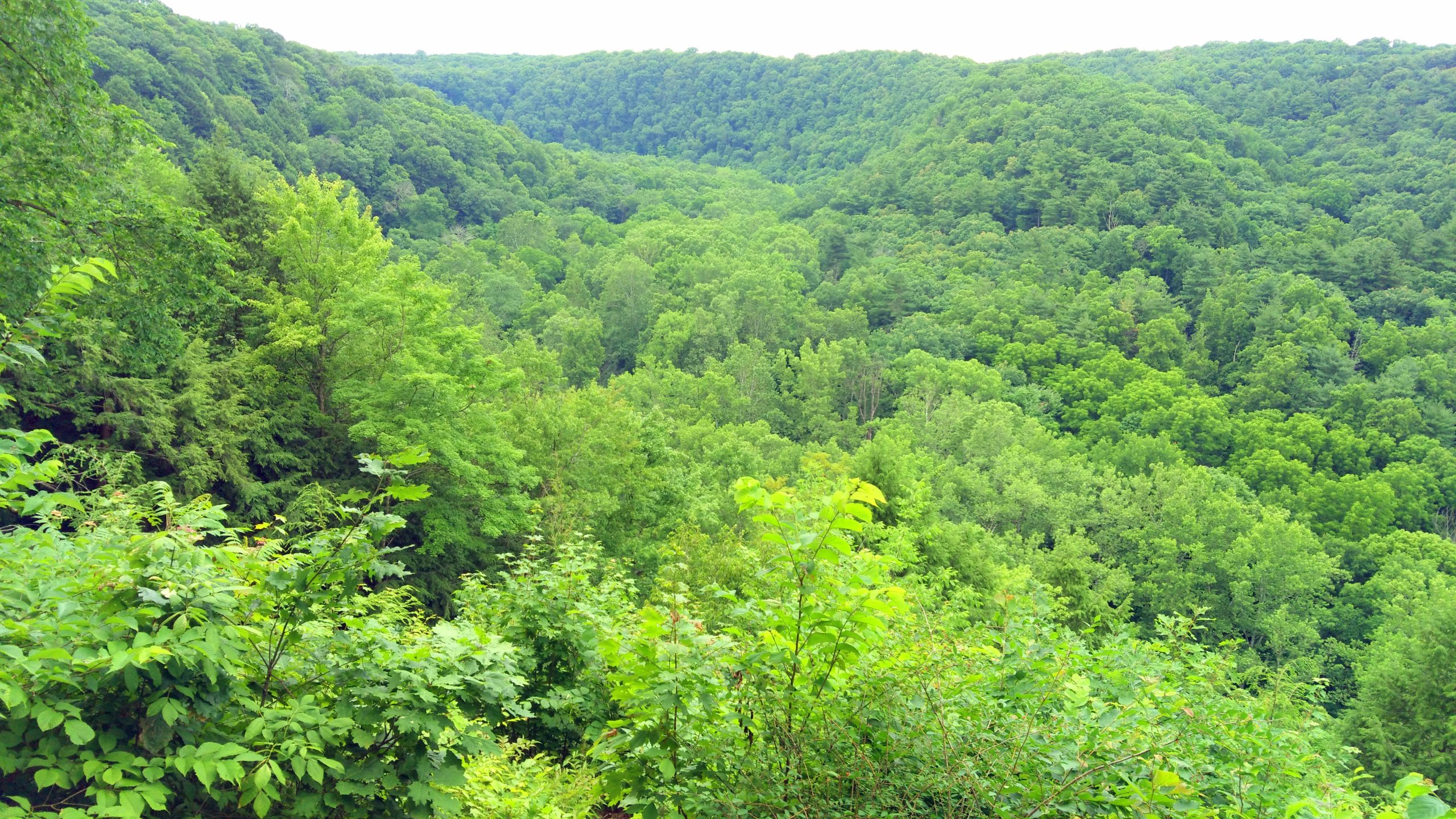 Mohican State Park near Loudonville 