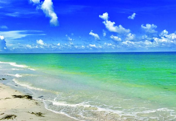 Caladesi Island State Park