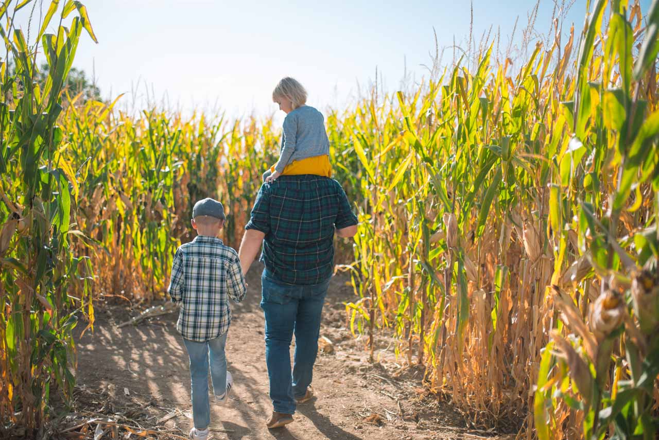 Anderson Farms